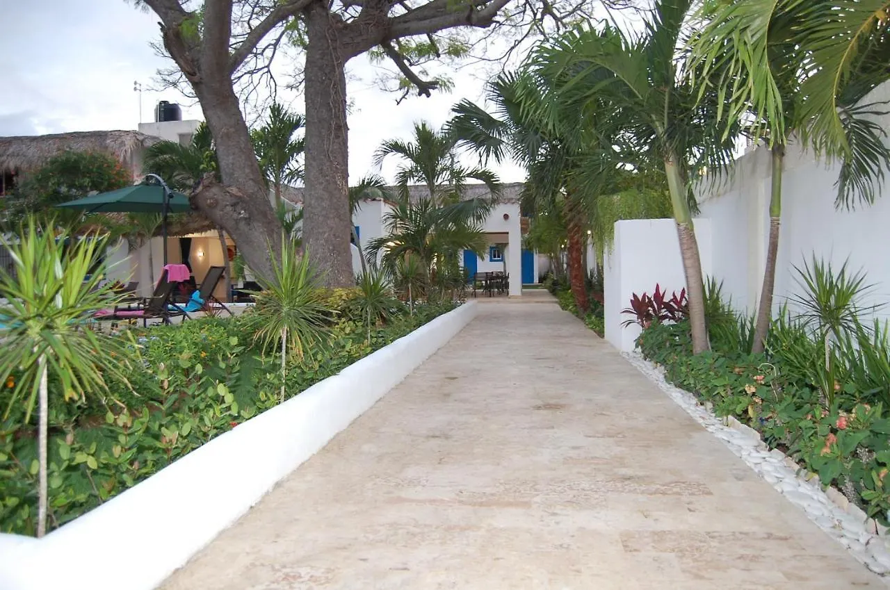 Nuovo Hotel Playa Catalina La Romana 2*,