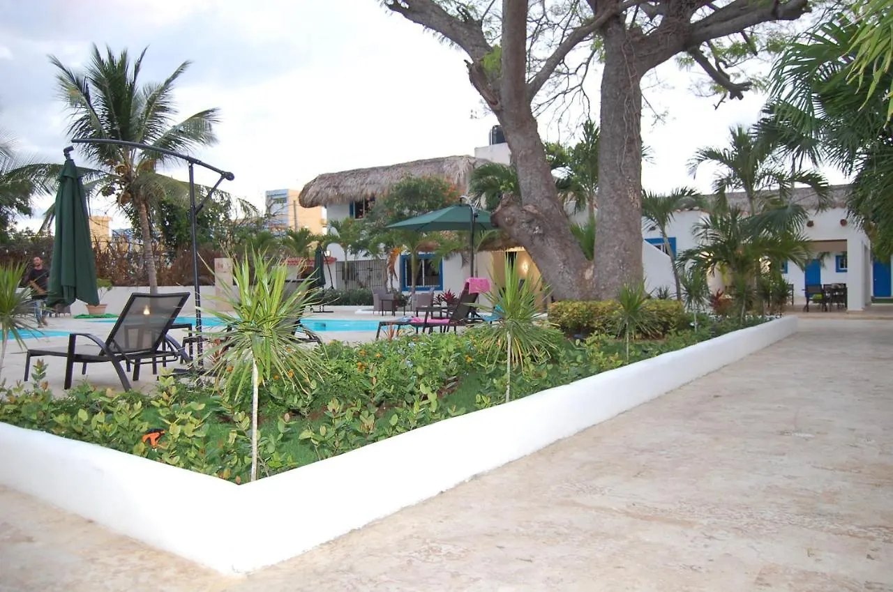 Nuovo Hotel Playa Catalina La Romana